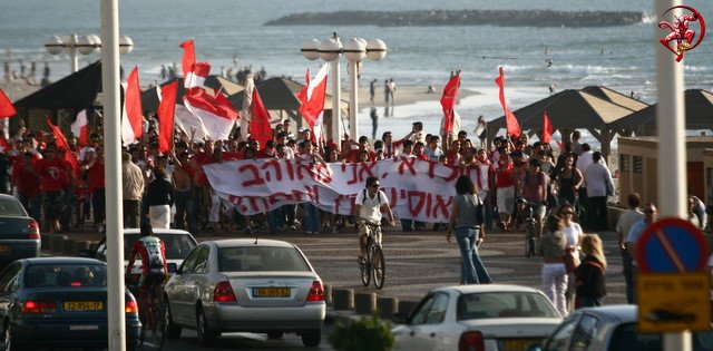 מגיעים לטיילת