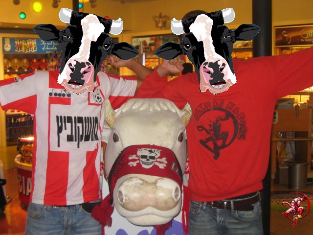 Mad Cow 06