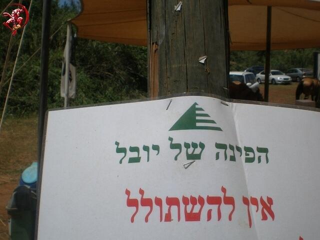 יאללה הפועל