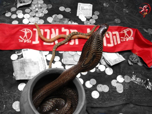 Cobra Hapoel